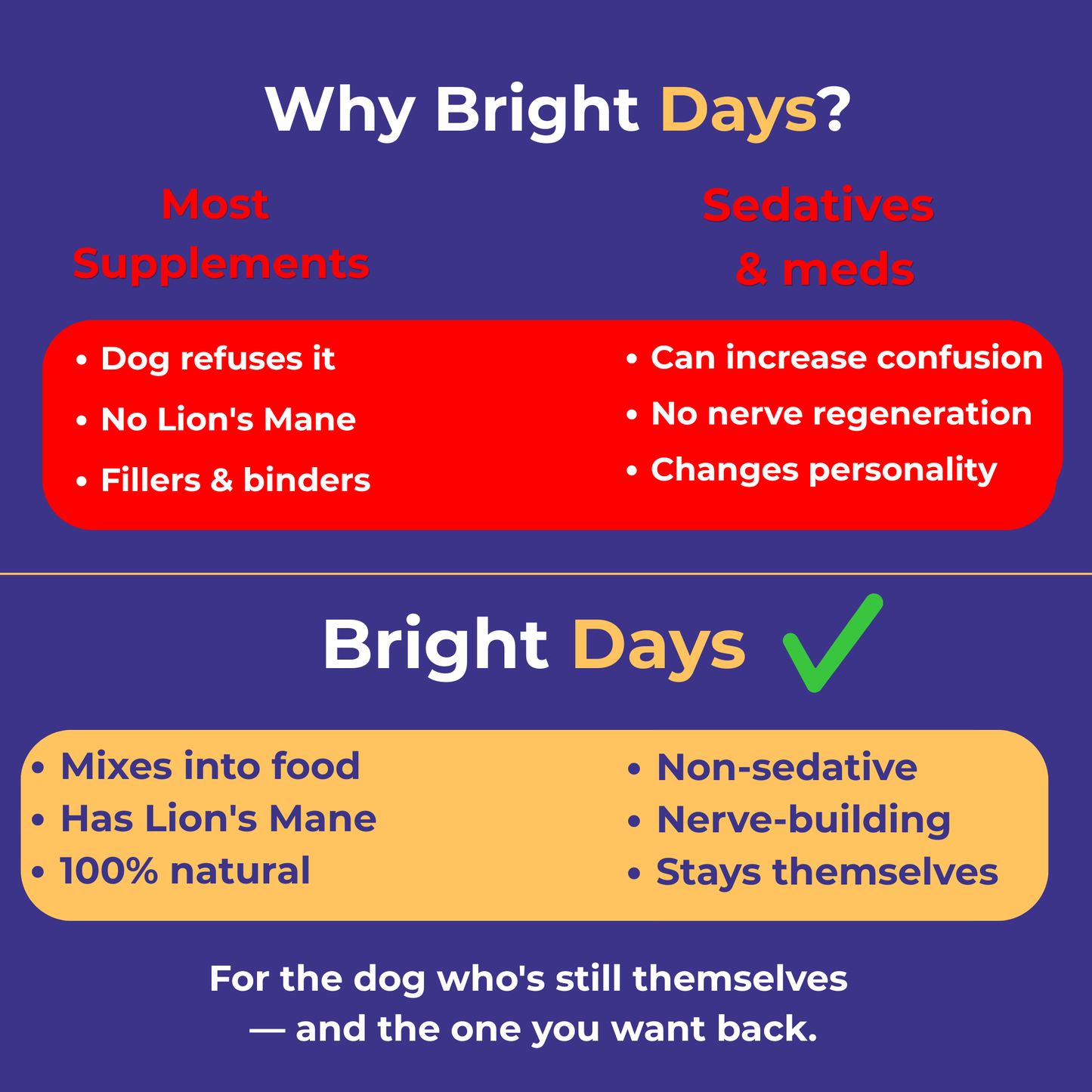 Bright Days